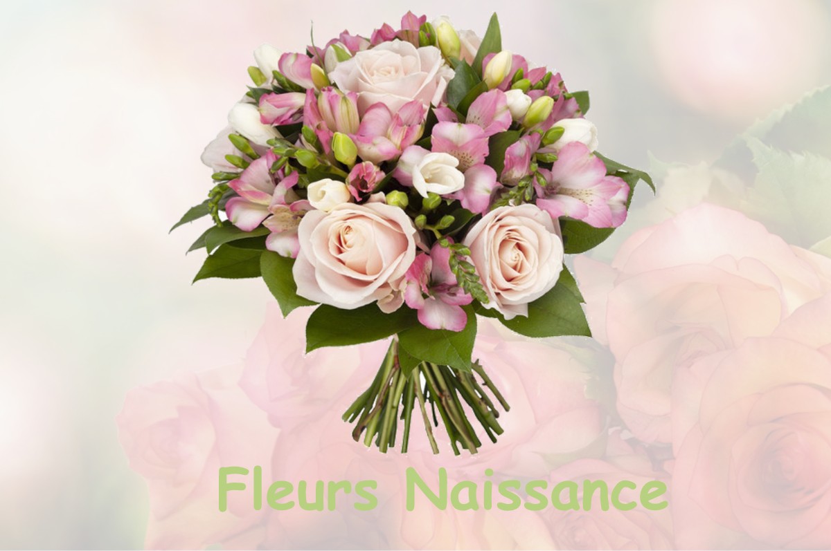 fleurs naissance LE-GRES