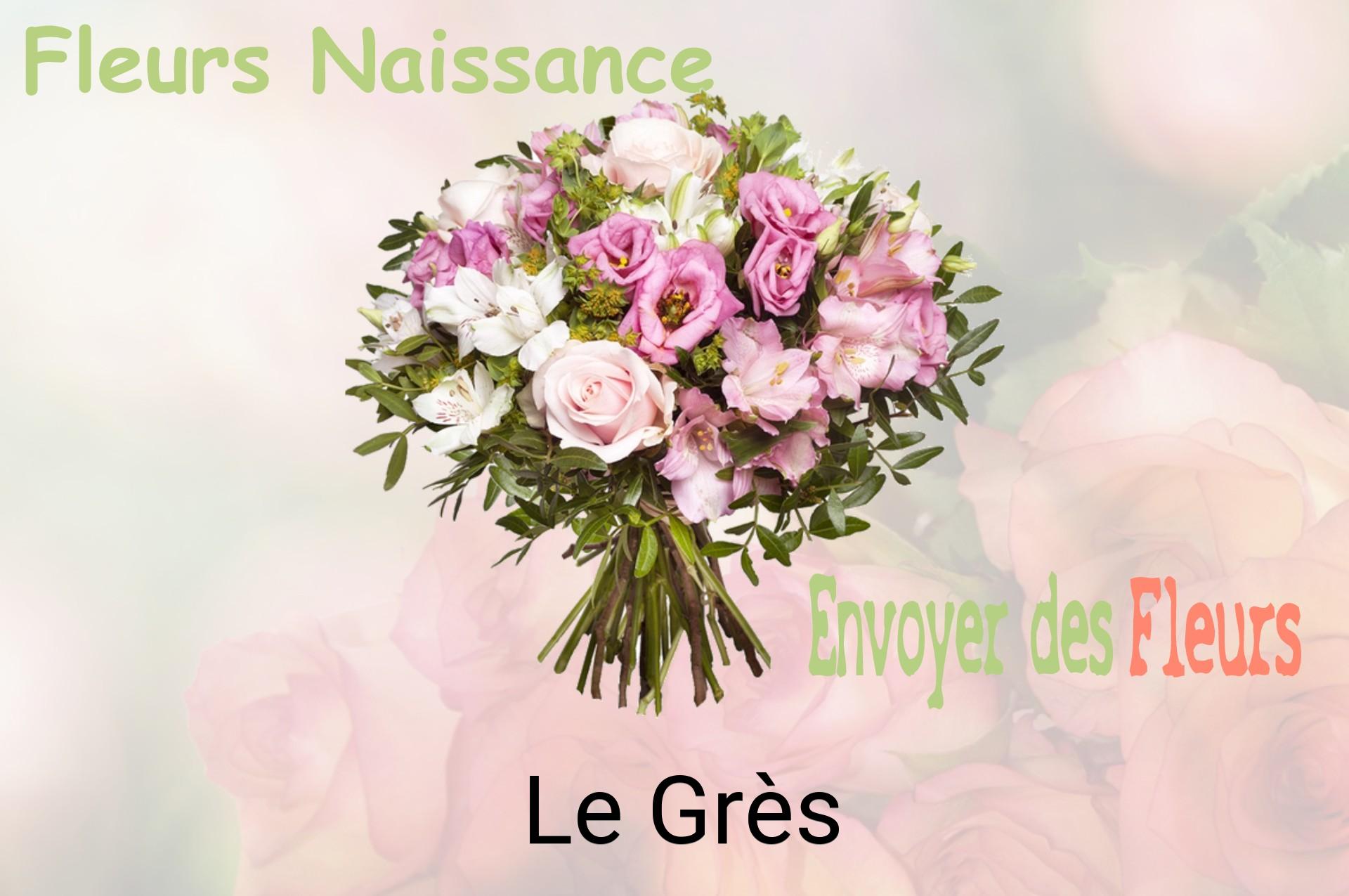 Bouquet de fleurs de naissance livré à Le Grès