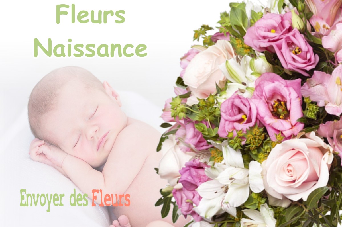 lIVRAISON FLEURS NAISSANCE à LE-GRES